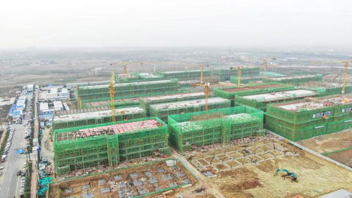 多图实拍 最新进展来了