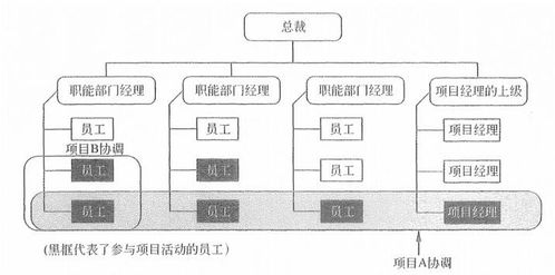 信息系统项目管理师 第二三章 信息系统项目管理基础与立项管理