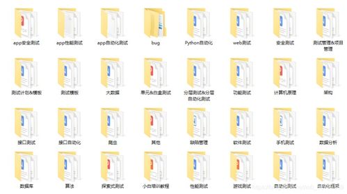 软件测试的定义是什么