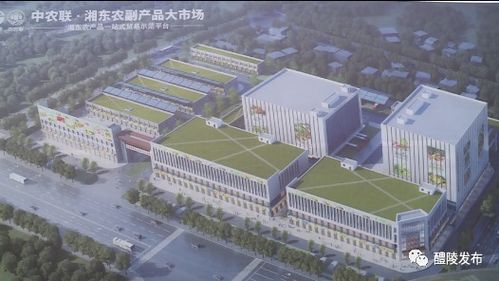 晴天好施工 中农联 湘东农副产品大市场项目全力推进