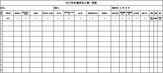 2017年建设单位项目工程信息统计表