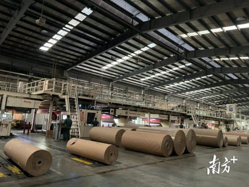政府搭台,企业唱戏,东莞市工业和信息化局举办包装产品需求对接活动