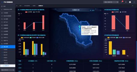 邦永与中国项目管理的信息化进程